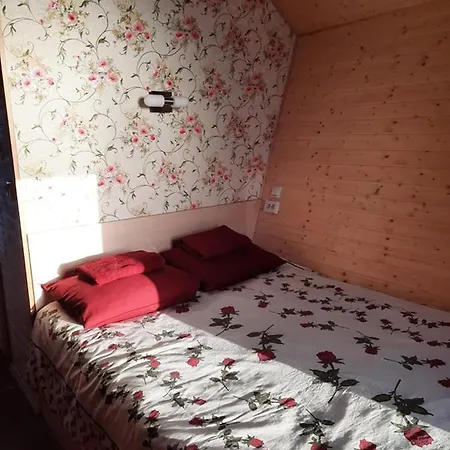 Metsjaerve Mini Puhkemaja * Põlva